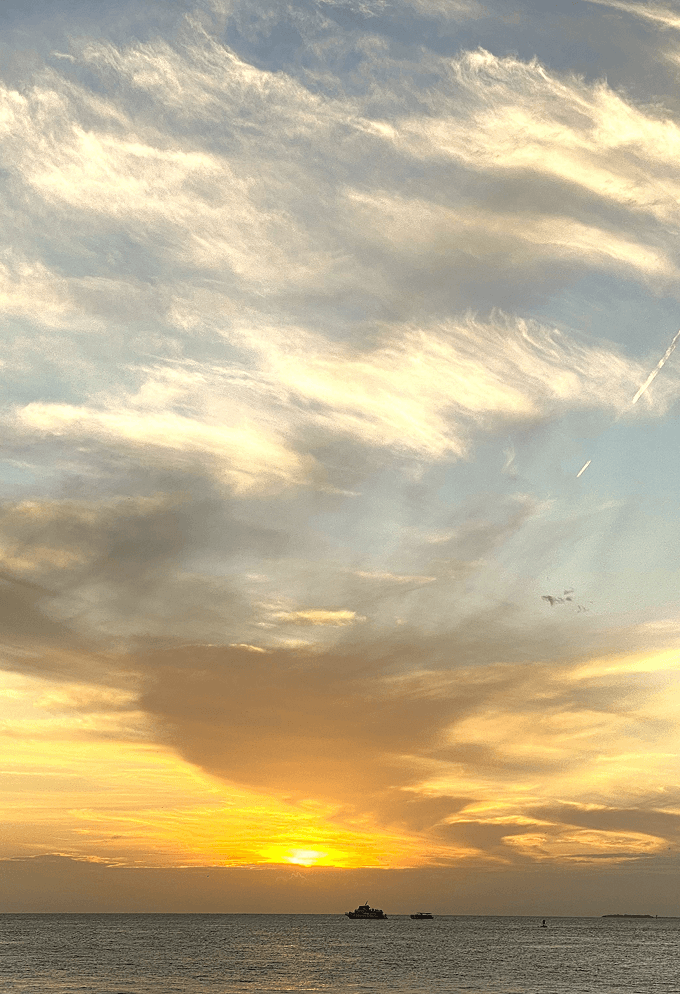gallery-img